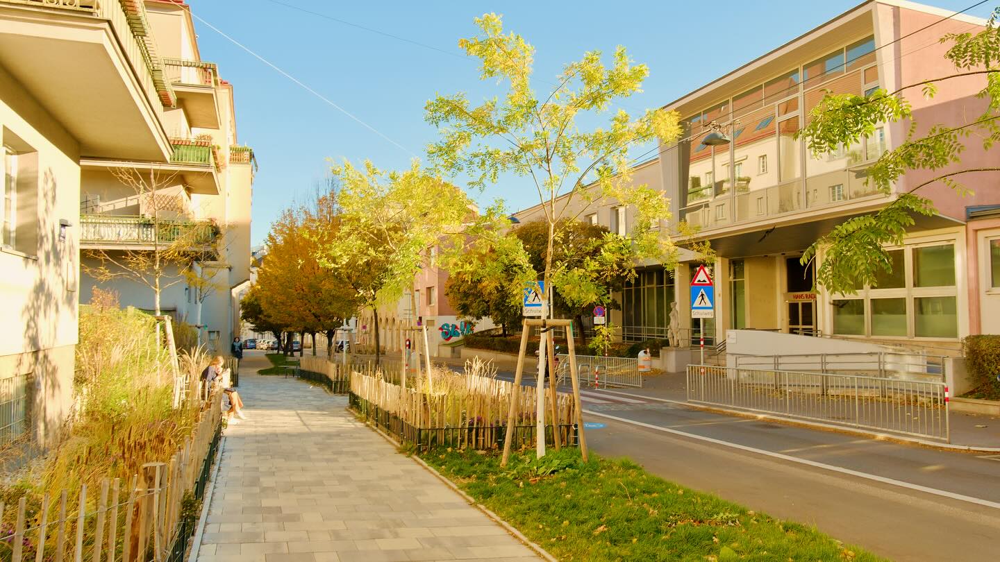 Die Währinger Straße im Herbst