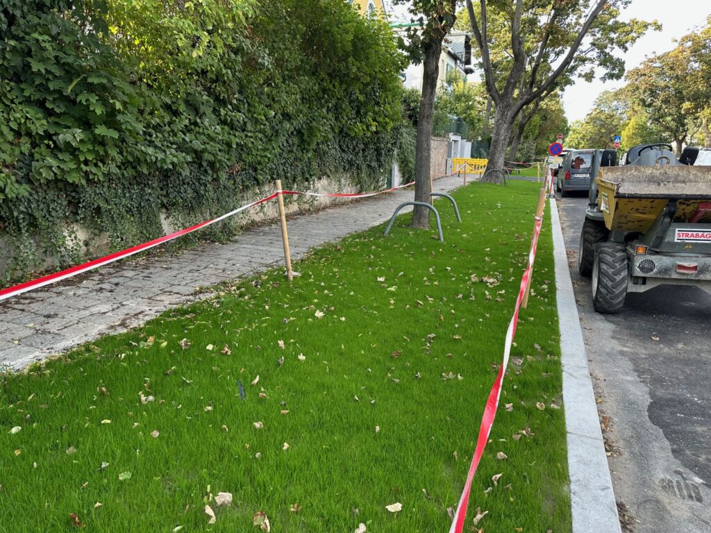 Entsiegelter Grünstreifen in der Alsegger Straße
