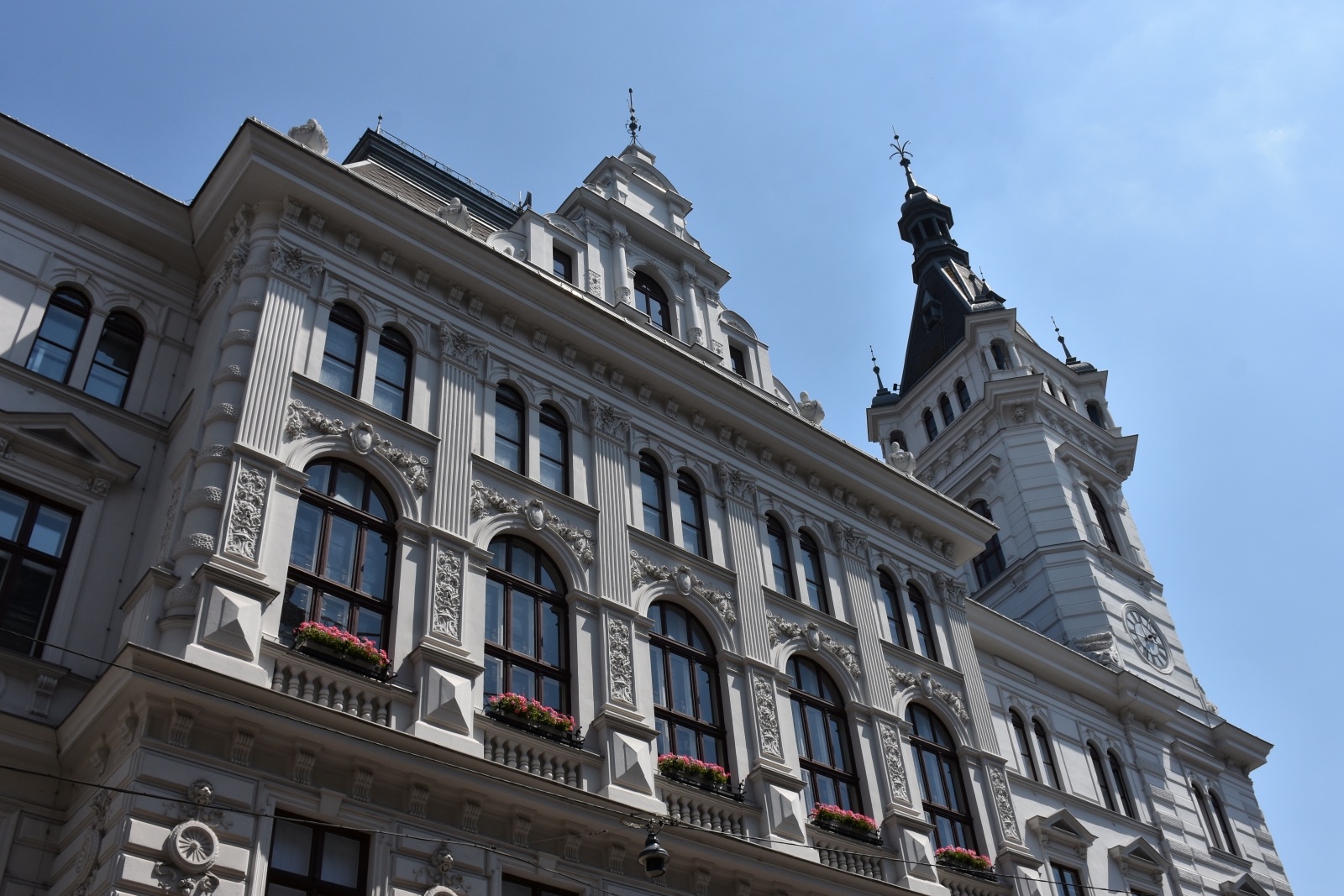 Hier wird Politik für Währing gemacht!